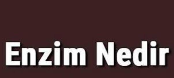 Enzim Nedir Ve Ne İşe Yarar?