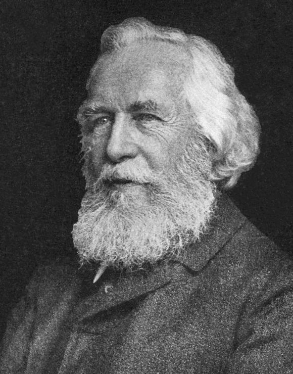 Ernst Haeckel Kimdir?