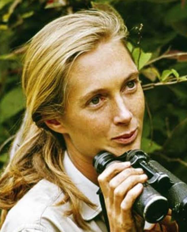 Jane Goodall Kimdir?