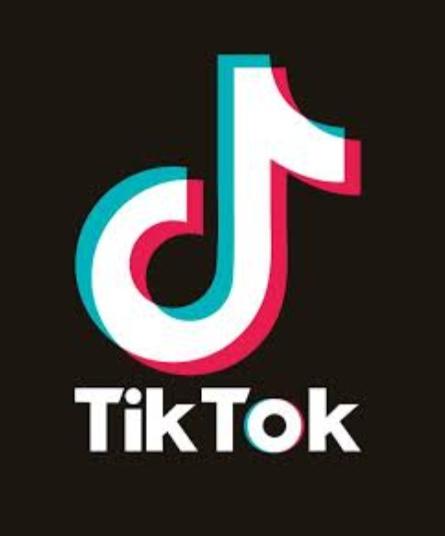 TikTok Yaratıcılık Programı Beta ödemesi nedir?