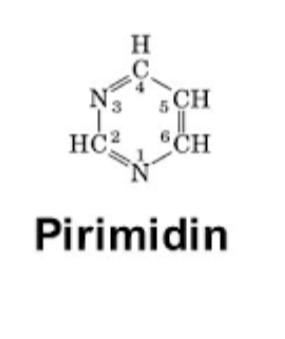 Pirimidin nedir ne işe yarar?