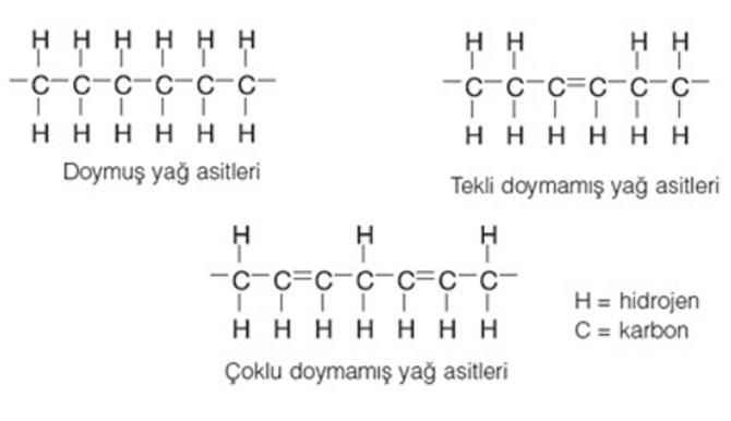 Doymamış yağ asidi nedir?