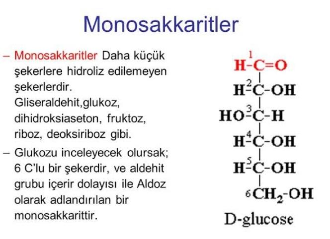 Monosakkarit Nedir, Özellikleri Nelerdir? Monosakkarit Çeşitleri Nelerdir?