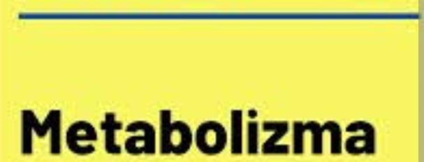 Metabolizma Nedir?