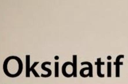 Oksidatif fosforilasyon nedir?
