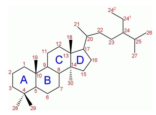 Steroidler nedir?