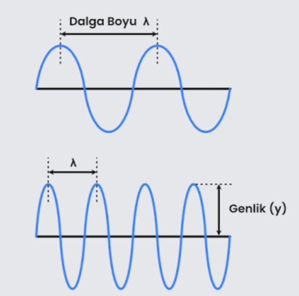 Fizikte dalgalar konusu