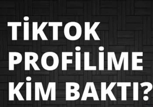 Birinin TikTok Profilinizi Kaç Kez Görüntülediğini Nasıl Öğrenebilirsiniz?