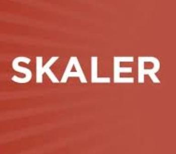 Skaler büyüklük nedir?