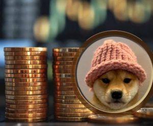 Dogwifhat Coin