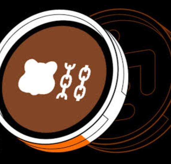 BERA Coin nedir lincheap.com blog