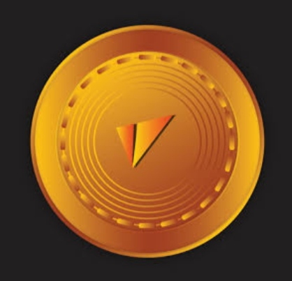 VITE Coin Nedir