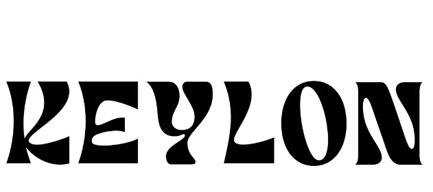 Keylon Coin lincheap.com blog