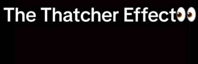 Thatcher Effect nedir lincheap.com blog