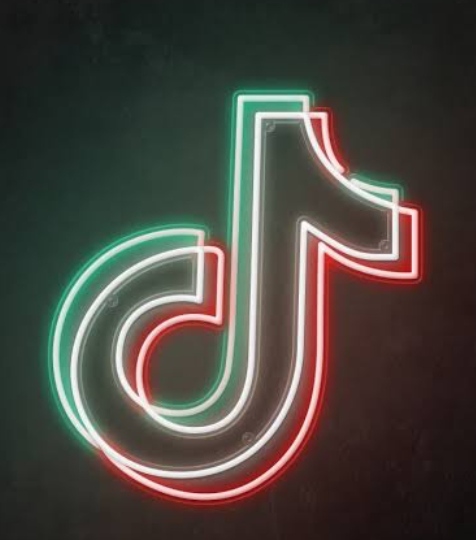 TikTok Video Kimler izlediği Görebil misin lincheap.com blog