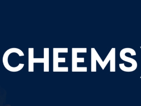 Cheems Coin Nedir lincheap.com blog