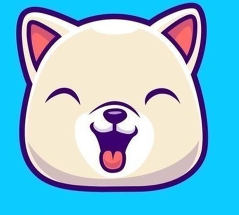 Kıbshı Coin lincheap.com blog