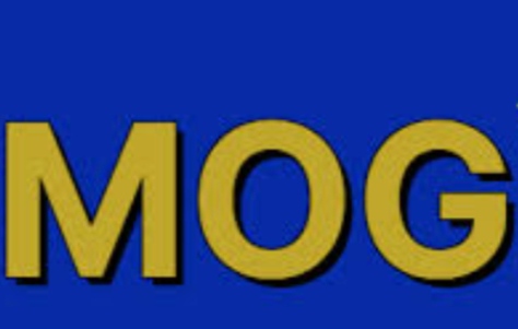 Mog coin nedir?