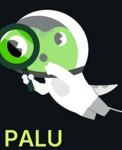 Palu Coin lincheap.com blog