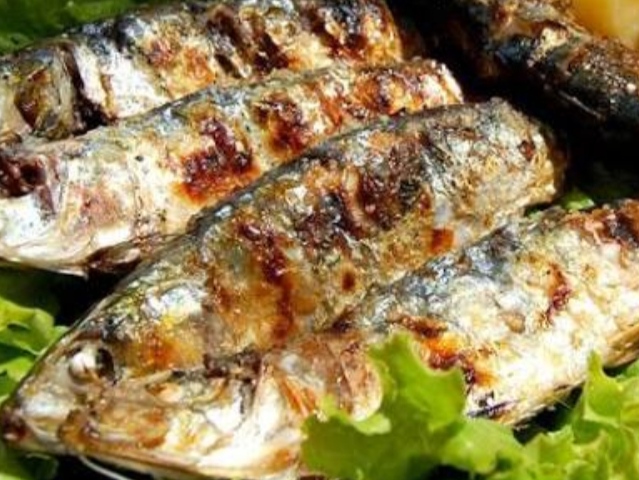 Sardinha Setubalense Tarifi lincheap.com blog