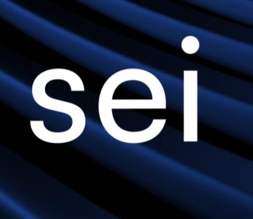 Sei Coin Nedir?